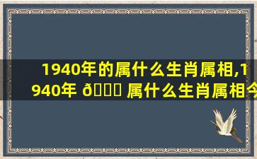 1940年的属什么生肖属相,1940年 🐎 属什么生肖属相今年几岁